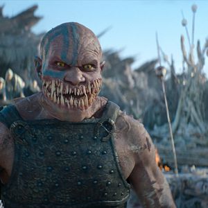 Photo CJ. Bloomfield