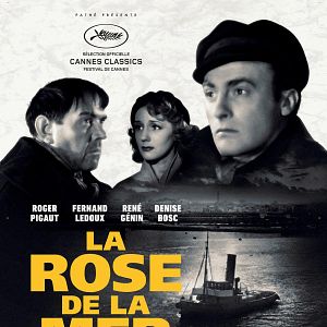 Photo La Rose de la mer