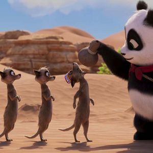 Photo Petit Panda en Afrique