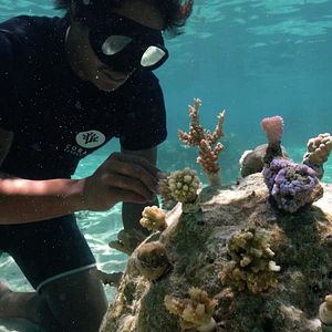 Photo Titouan, les enfants du corail