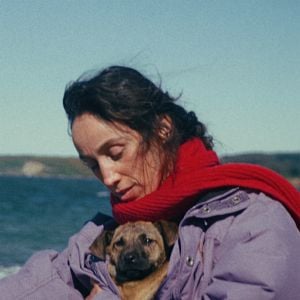 Photo La Chienne