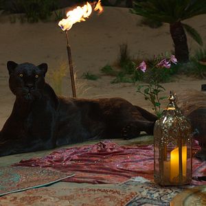 Photo Des vœux pour un génie