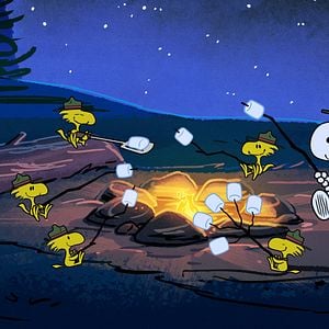 Photo Le camp de vacances de Snoopy