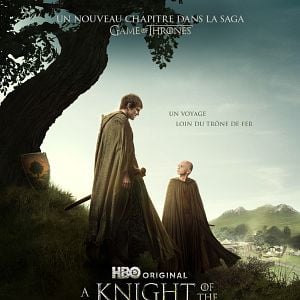 Photo A Knight of the Seven Kingdoms
