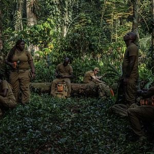 Photo Jean-Pascal Zadi