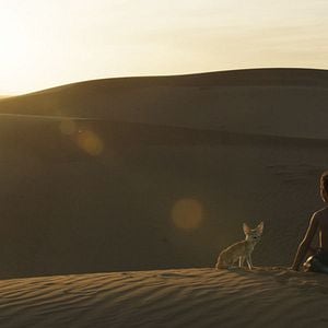 Photo L'Enfant Du Désert