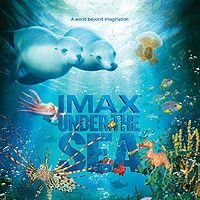Photo Under the Sea
