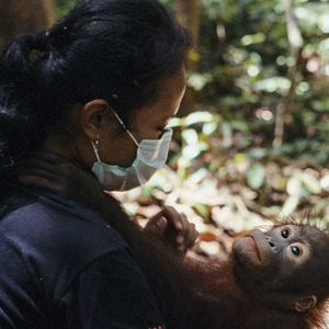 Photo Popi ou l'état sauvage