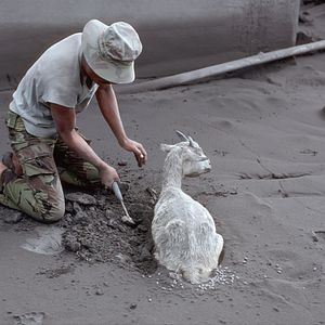 Photo Au cœur des volcans : Requiem pour Katia et Maurice Krafft