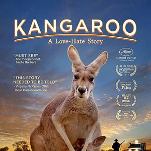 Photo Kangaroo – A Love-Hate Story