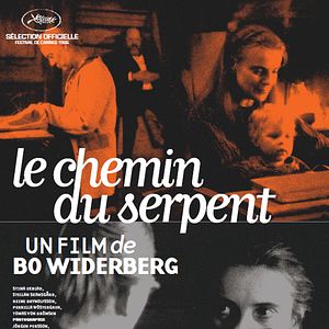 Photo Le Chemin du serpent