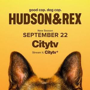 Photo Hudson et Rex