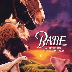 Photo Babe, le cochon devenu berger