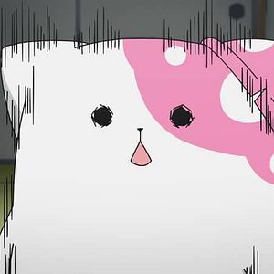 Photo Kinokoinu Mushroom Pup