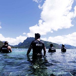 Photo Titouan, les enfants du corail
