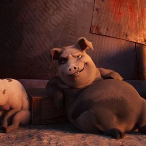 Photo La Ferme des animaux