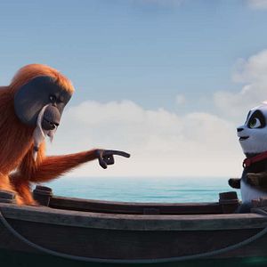 Photo Petit Panda en Afrique