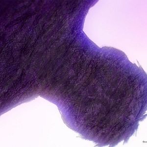 Photo Miss Kobayashi's Dragon Maid : une dragonne en manque d'amour