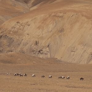 Photo L’Himalaya Sans Filtre : Sur Les Routes De Lo