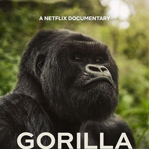 Photo Une histoire de gorilles avec David Attenborough