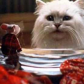 Photo Stuart Little
