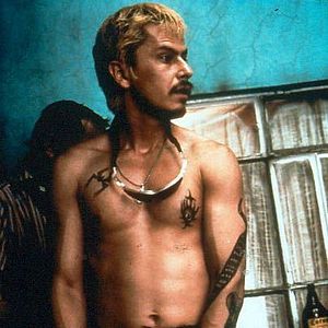 Photo Amours chiennes