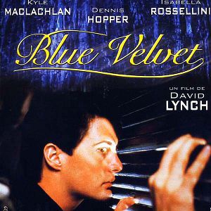 Photo Blue Velvet