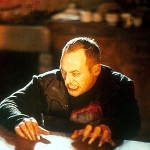 Photo Dog Soldiers