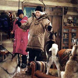 Photo Chiens des neiges