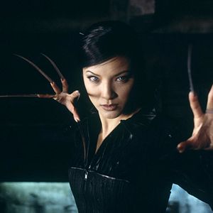 Photo Kelly Hu