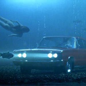 Photo Big Fish