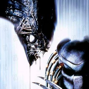 Photo Paul W.S. Anderson