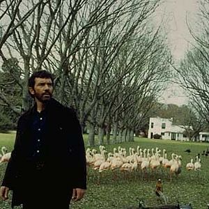 Photo Christopher Hampton