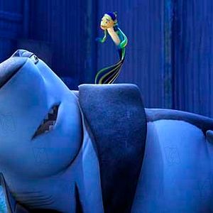 Photo Gang de requins