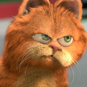 Photo Garfield