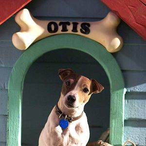 Photo Lawrence Guterman