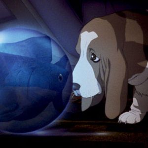 Photo Innocence - Ghost in the Shell 2