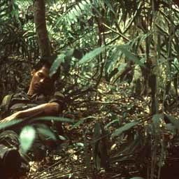 Photo Apichatpong Weerasethakul