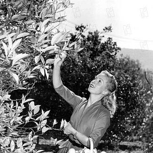 Photo Danielle Darrieux