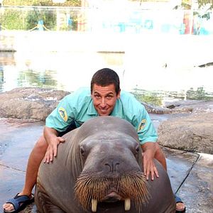 Photo Adam Sandler