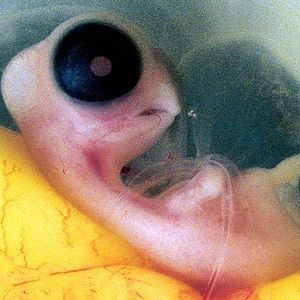 Photo Marie Pérennou