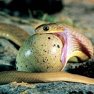 Photo Marie Pérennou