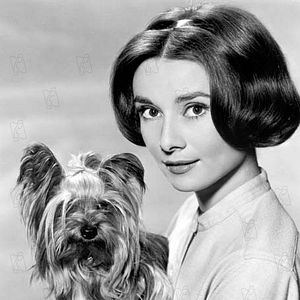 Photo Audrey Hepburn