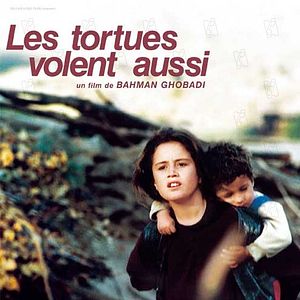 Photo Les Tortues volent aussi