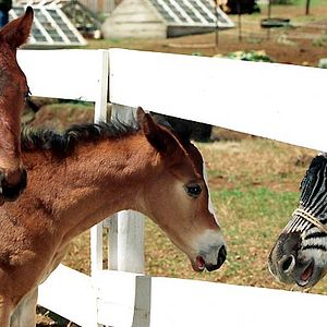 Photo Frederik Du Chau