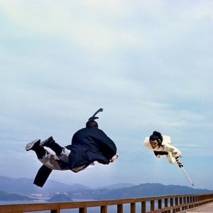 Photo La Rage du tigre