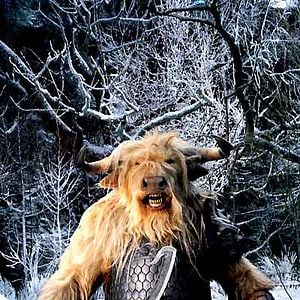 Photo Andrew Adamson