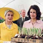 Photo Catherine Deneuve