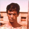 Photo Pharaon