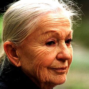 Photo Nicolas Guillou